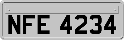 NFE4234