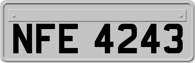 NFE4243
