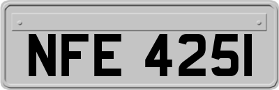 NFE4251