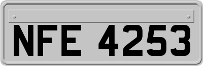 NFE4253
