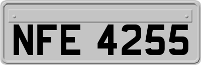 NFE4255