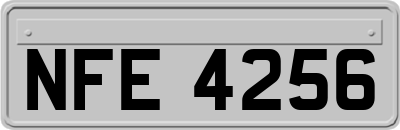 NFE4256