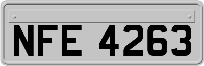 NFE4263