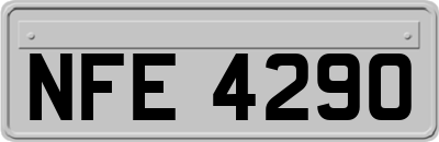 NFE4290