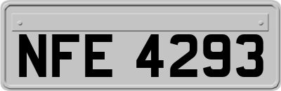 NFE4293