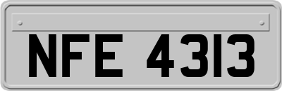 NFE4313