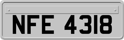 NFE4318