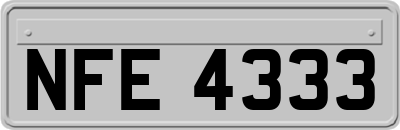 NFE4333
