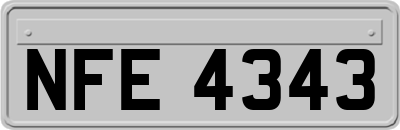 NFE4343