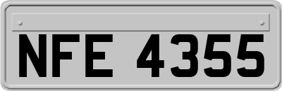 NFE4355