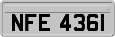NFE4361