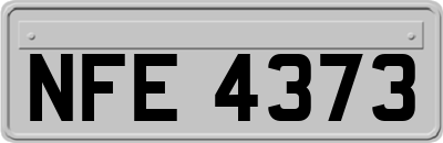 NFE4373