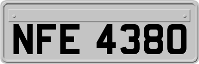 NFE4380