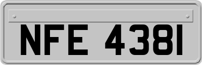 NFE4381