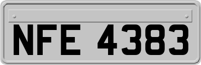 NFE4383