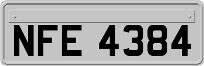 NFE4384