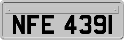 NFE4391
