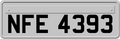 NFE4393