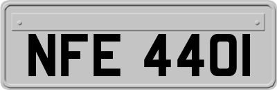 NFE4401