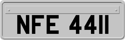 NFE4411