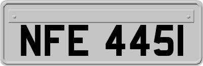 NFE4451