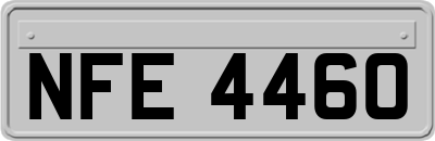 NFE4460