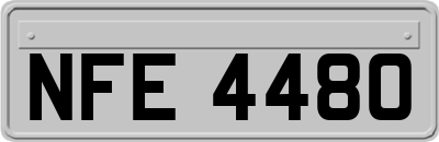 NFE4480