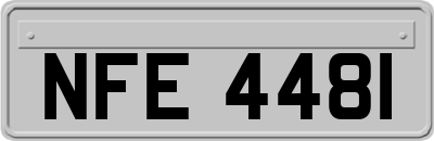 NFE4481