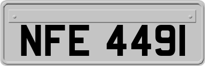 NFE4491