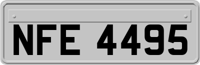 NFE4495
