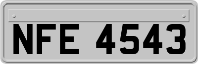 NFE4543