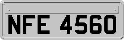 NFE4560