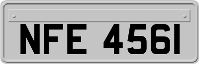 NFE4561