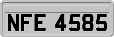 NFE4585