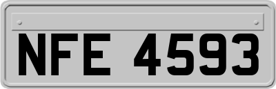 NFE4593