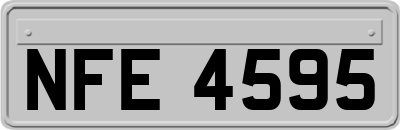 NFE4595