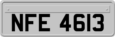 NFE4613