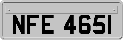 NFE4651