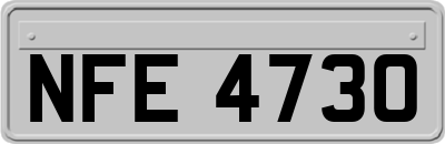 NFE4730