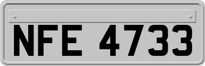 NFE4733