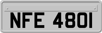 NFE4801