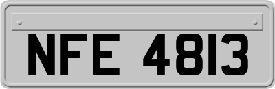 NFE4813