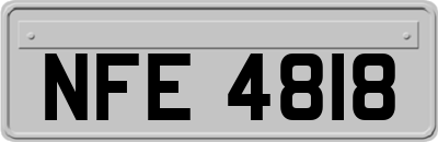 NFE4818