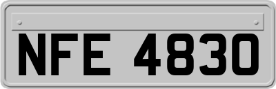 NFE4830