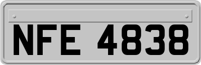 NFE4838