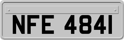 NFE4841