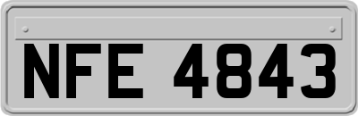 NFE4843