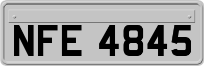 NFE4845