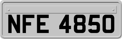 NFE4850