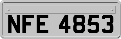 NFE4853
